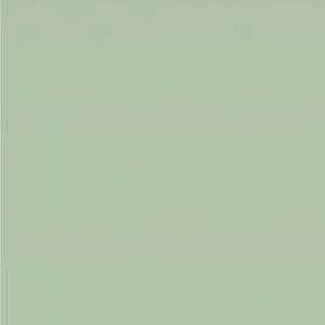 Meet your Posher, Paisley